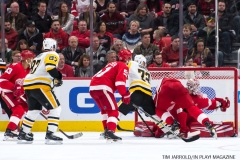 Red Wings vs Penguins Dec 31 2017 (9)
