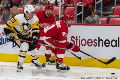 Wings vs Penguins Sept 25 2017 (16)