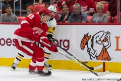 Wings vs Penguins Sept 25 2017 (9)
