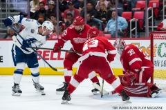 Red Wings vs Tampa Bay Oct 16 2017 (27)