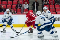 Red Wings vs Tampa Bay Oct 16 2017 (7)