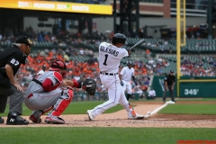 Tigers vs Reds Aug 1 2018 (4)