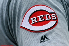 Tigers vs Reds Aug 1 2018 (9)