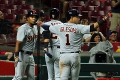 Tigers vs Reds June 19 2018 (15)