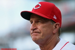 Tigers vs Reds June 19 2018 (16)