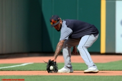 Tigers vs Reds June 19 2018 (3)