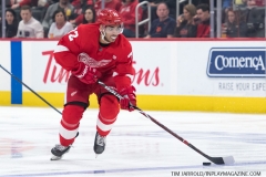 Buffalo-Sabres-vs-Detroit-Red-Wings-April-6-2019-12