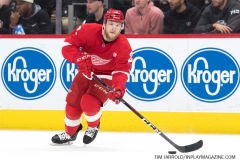 Buffalo-Sabres-vs-Detroit-Red-Wings-April-6-2019-19
