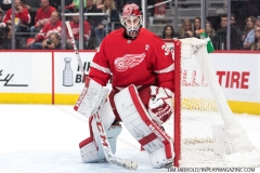Buffalo-Sabres-vs-Detroit-Red-Wings-April-6-2019-32