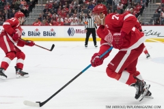 Buffalo-Sabres-vs-Detroit-Red-Wings-April-6-2019-67
