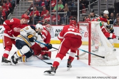 Buffalo-Sabres-vs-Detroit-Red-Wings-April-6-2019-68