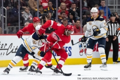 Sabres-vs-Red-Wings-October-25-2019-41