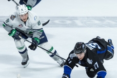 Sea Dogs vs Thunderbirds 11