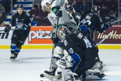 Sea Dogs vs Thunderbirds 28