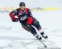 Windsor Spitfires vs Sarnia Sting April 1 2018 (10)