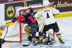 Windsor Spitfires vs Sarnia Sting April 1 2018 (11)
