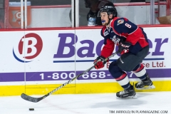 Windsor Spitfires vs Sarnia Sting April 1 2018 (12)