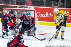 Windsor Spitfires vs Sarnia Sting April 1 2018 (15)