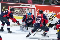 Windsor Spitfires vs Sarnia Sting April 1 2018 (17)