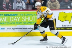 Windsor Spitfires vs Sarnia Sting April 1 2018 (23)