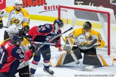 Windsor Spitfires vs Sarnia Sting April 1 2018 (24)