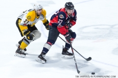 Windsor Spitfires vs Sarnia Sting April 1 2018 (28)