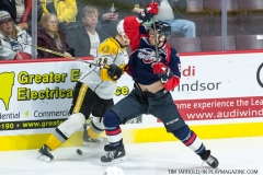Windsor Spitfires vs Sarnia Sting April 1 2018 (4)