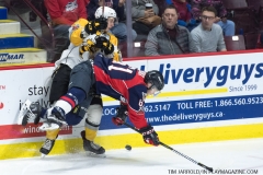 Windsor Spitfires vs Sarnia Sting April 1 2018 (6)