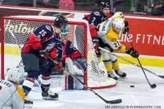 Windsor Spitfires vs Sarnia Sting April 1 2018 (7)