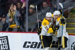 Windsor Spitfires vs Sarnia Sting April 1 2018 (9)
