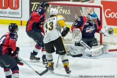 Windsor Spitfires vs Sarnia Sting Feb 2 2018 (10)