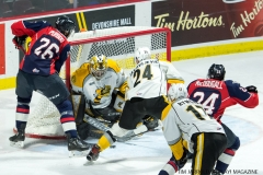 Windsor Spitfires vs Sarnia Sting Feb 2 2018 (20)