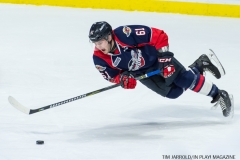 Windsor Spitfires vs Sarnia Sting Feb 2 2018 (24)
