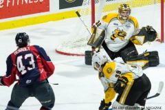 Windsor Spitfires vs Sarnia Sting Feb 2 2018 (25)