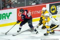 Windsor Spitfires vs Sarnia Sting Feb 2 2018 (26)