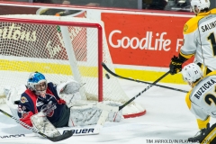Windsor Spitfires vs Sarnia Sting Feb 2 2018 (28)