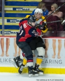 Windsor Spitfires vs Sarnia Sting Feb 2 2018 (3)
