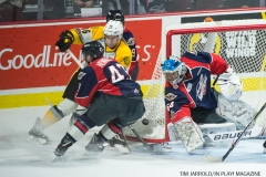 Windsor Spitfires vs Sarnia Sting Feb 2 2018 (33)