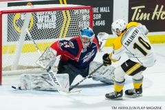 Windsor Spitfires vs Sarnia Sting Feb 2 2018 (34)