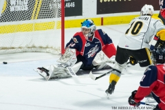 Windsor Spitfires vs Sarnia Sting Feb 2 2018 (35)