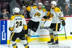 Windsor Spitfires vs Sarnia Sting Feb 2 2018 (39)