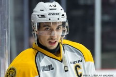 Windsor Spitfires vs Sarnia Sting Feb 2 2018 (8)