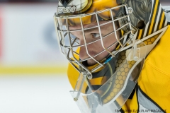 Windsor Spitfires vs Sarnia Sting Feb 2 2018 (9)