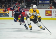 Spitfires vs Sarnia Sting Jan 11 2018 (3)