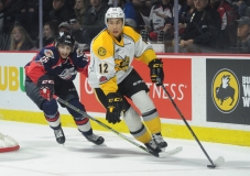 Spitfires vs Sarnia Sting Jan 11 2018 (5)