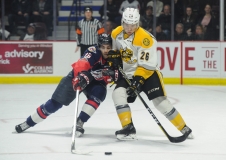 Spitfires vs Sarnia Sting Jan 11 2018 (7)