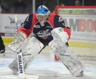 Spitfires vs Sarnia Sting Jan 11 2018 (8)