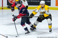 Windsor Spitfires vs Sarnia Sting March 29 2018 (11)