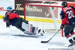 Windsor Spitfires vs Sarnia Sting March 29 2018 (13)