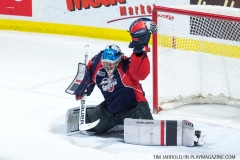 Windsor Spitfires vs Sarnia Sting March 29 2018 (15)